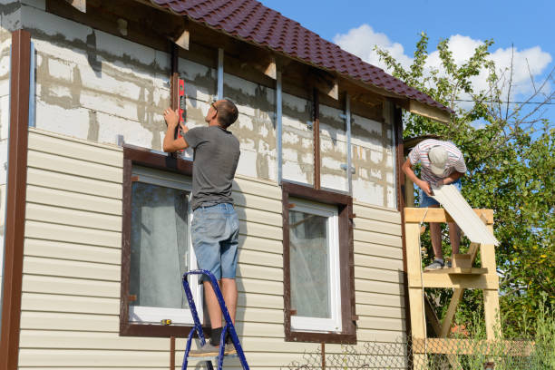 Shed Removal in Roman Forest, TX